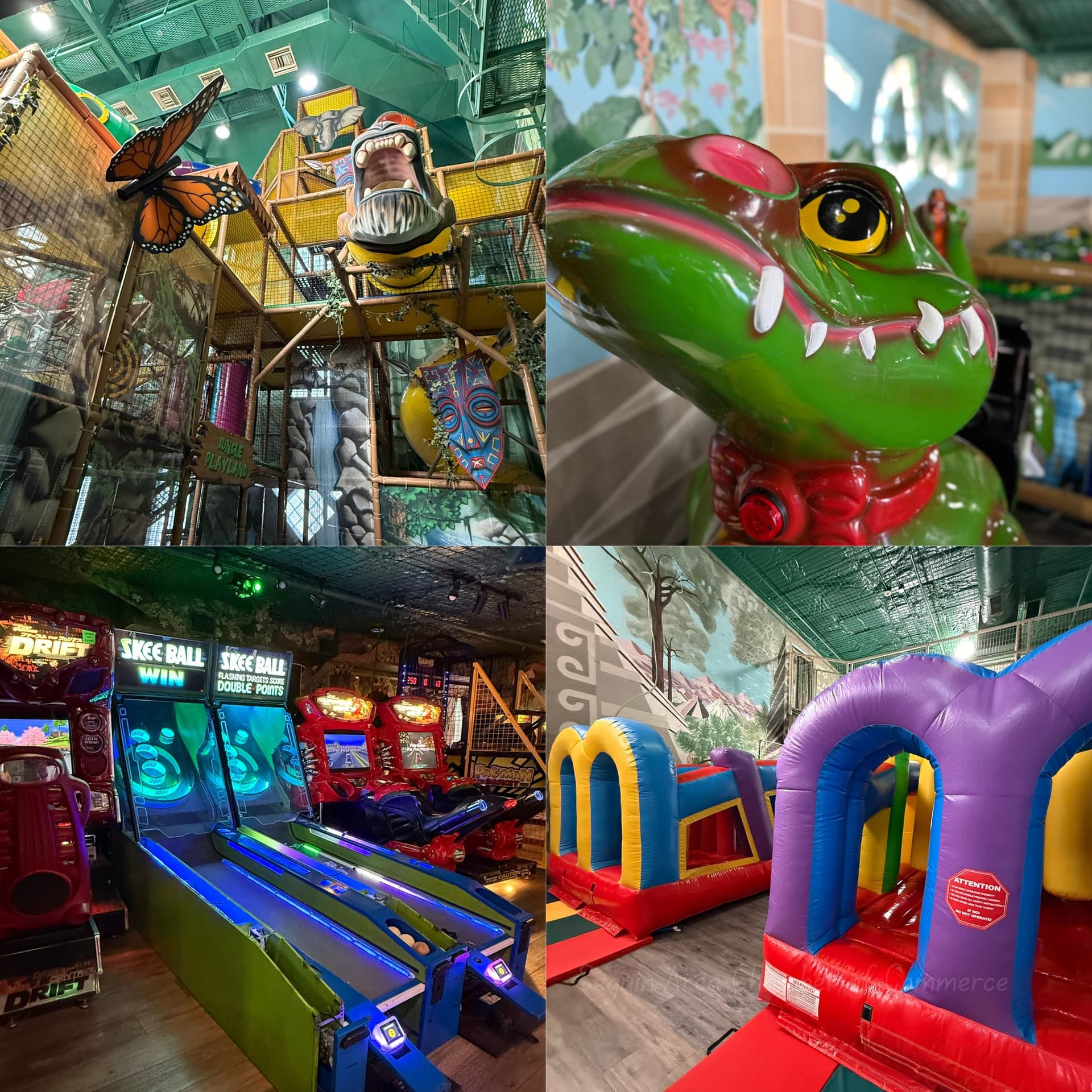 Jungle Jam Xtreme - Image 3