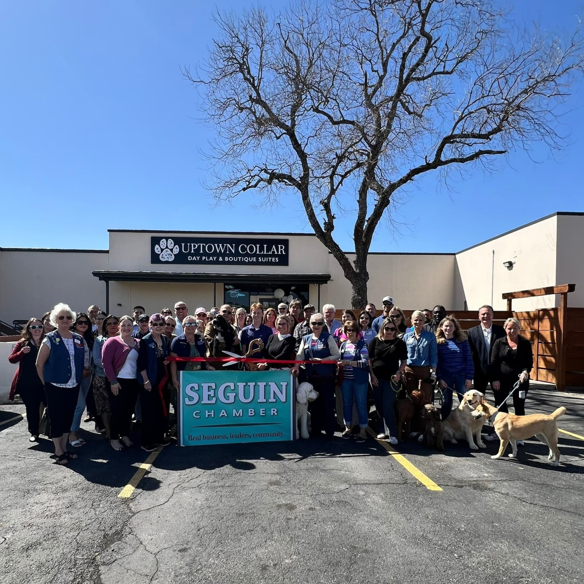 Uptown Collar - Image 1